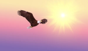 Soar like an eagle.