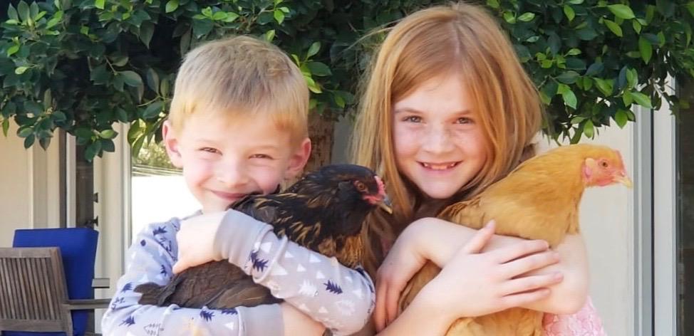 Kids with Chickens