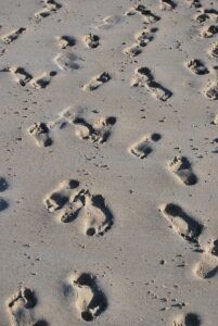 Footsteps