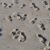 Footsteps